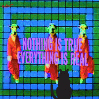 Best Wishes Cat GIF by PEEKASSO