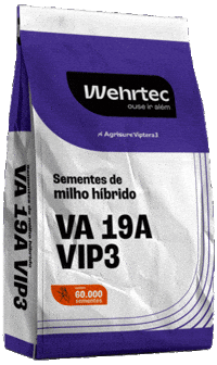 Wehrmann GIF by Inova Genética