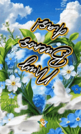Muy Buenos Dias Salud GIF by Murcianys LLC