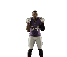 No Fly Football Sticker by Baltimore Ravens