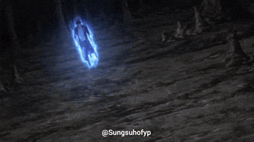 Solo Leveling Sung GIF