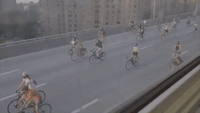 Anti-Racism Protesters Cycle Over Williamsburg Bridge in New York