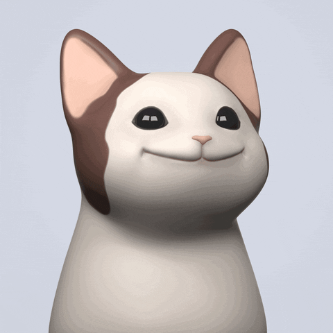 dianamalia giphyupload cat kitten cute cat GIF