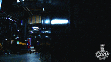 ice hockey sport GIF by NHL