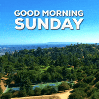 Good Morning Sunday