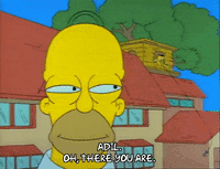 Season 1 GIF by The Simpsons