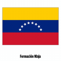 Flag Pixel Art GIF by Formación Ninja