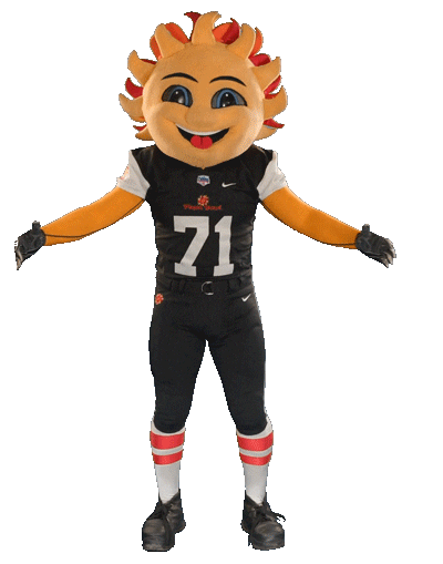 FiestaBowl football sun hug mascot Sticker