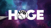 GIF by Hoge Finance