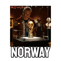 World Cup Norway Sticker by Bovada