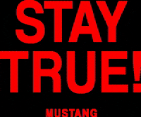 MUSTANGJeans mustang staytrue mustangjeans truedenim GIF