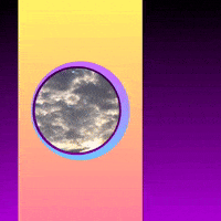 Im Like A Bird GIF by bryan