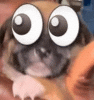 Void Contexto GIF