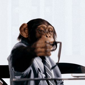 MonkyMedia glasses monkey office shirt GIF