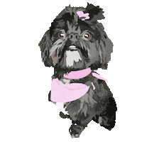 Dog Puppy Sticker