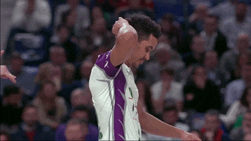 liga endesa basketball GIF by ACB