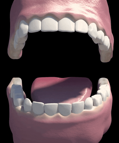 Teeth Tooth GIF by Clínicas Dentales Dra Carballo