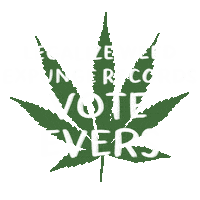Digital art gif. Green marijuana leaf with a message in white marker font, "Legalize weed, expunge records, Vote Evers."