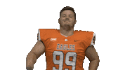 Cnfb Sticker by Carson-Newman Athletics