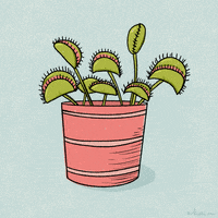 Flower Pot Plant GIF by Katie Vaz