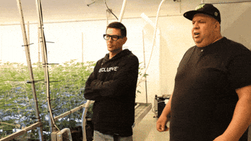 Plant Talking GIF by Exclusive Brands