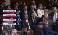 Matt Gaetz Fighting GIF by GIPHY News