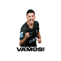 Celebration Go Sticker by Associação Académica de Coimbra - OAF