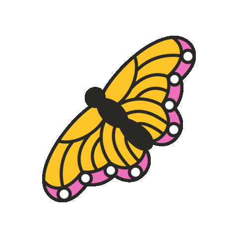 maevechocolate fly butterfly insect maeve Sticker