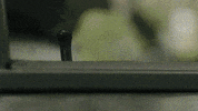 GIF by HULU