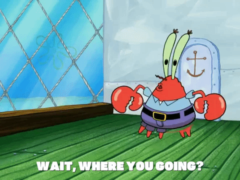season 6 GIF by SpongeBob SquarePants