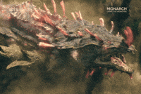 Skull Island Monarch GIF by Apple TV