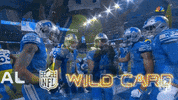 Detroit Lions Football GIF by NFL