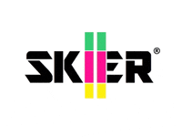 SKIER snow winter holidays ski GIF