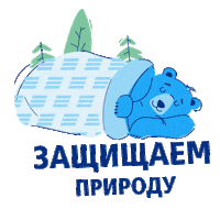 Team Sleep Sticker by VTB