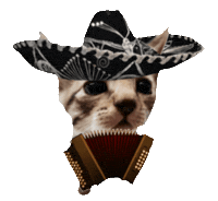 Mexico Instrument Sticker