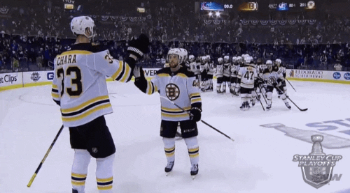 ice hockey GIF by NHL