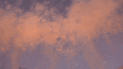 fireworks desperta GIF by For 91 Days