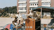 국민체조 GIF