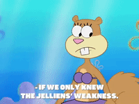 season 8 GIF by SpongeBob SquarePants