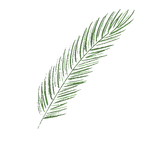 Palm Mallorca Sticker