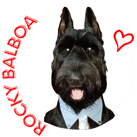 Giant Schnauzer Rocky Dog Sticker