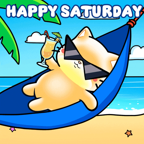 Cat Travel GIF by Mochimons