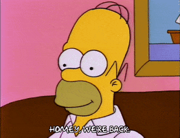 The Simpsons gif. Homer sits on the couch drinking a beer as he hears Marge say, “Homey, we’re back.” He frowns and looks over to her, and notices that she has two dolled-up women with her.