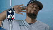 Major League Baseball Win GIF by Sportsnet