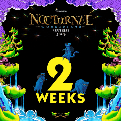 insomniacevents giphyupload GIF