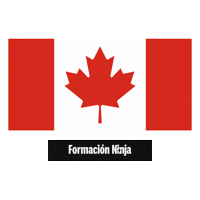 Canada Flag Sticker by Formación Ninja