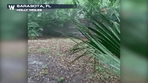 KKlosWN giphygifmaker GIF