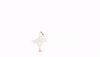 littlemovesdance dancing ballet swan silver steps GIF