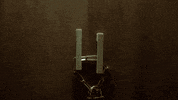 ambulante ambulante2020 camilakater GIF