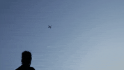 ambulante ambulante2020 GIF